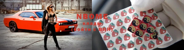 винт Алзамай