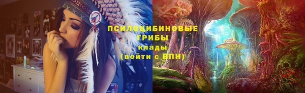 винт Алзамай