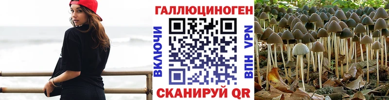 Галлюциногенные грибы MAGIC MUSHROOMS  хочу   Кинель 