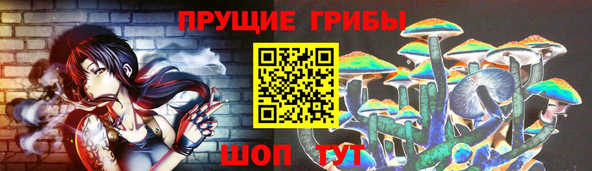 купить  цена  Вход с VPN  Кинель  Псилоцибиновые грибы прущие грибы 